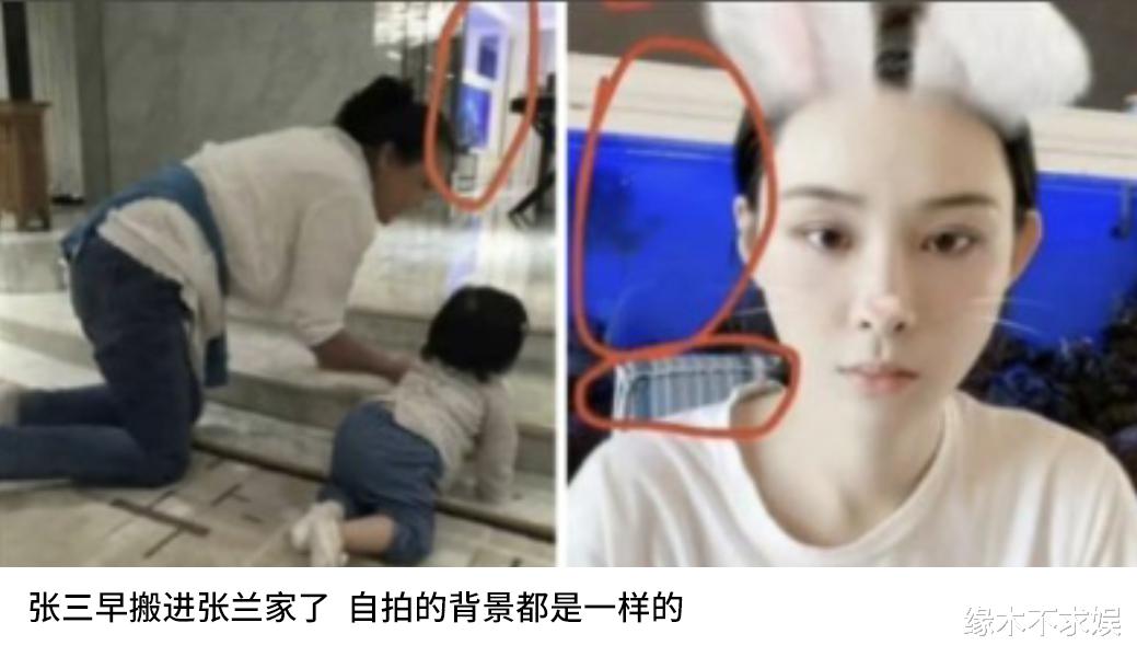 张兰|张兰炒作再添佐证!曝张颖颖已搬进张兰家,网友晒图为证