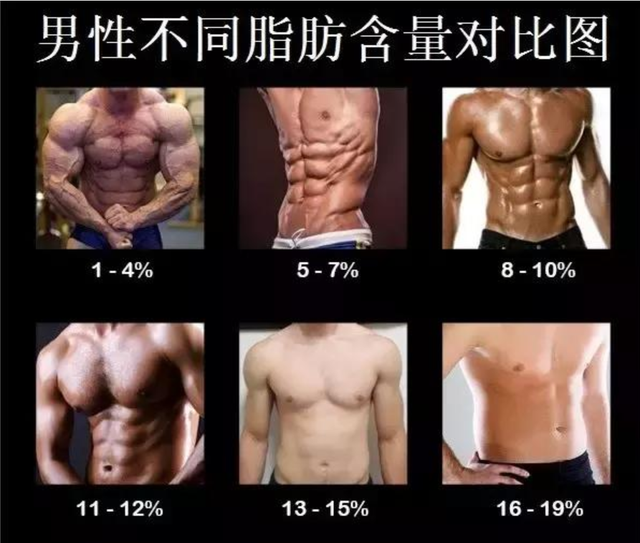 体重下降10斤跟体脂下降10斤，二者有什么区别？