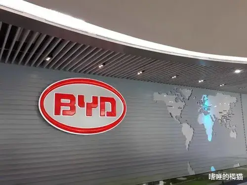 比亚迪|面试比亚迪，付出的成本太高