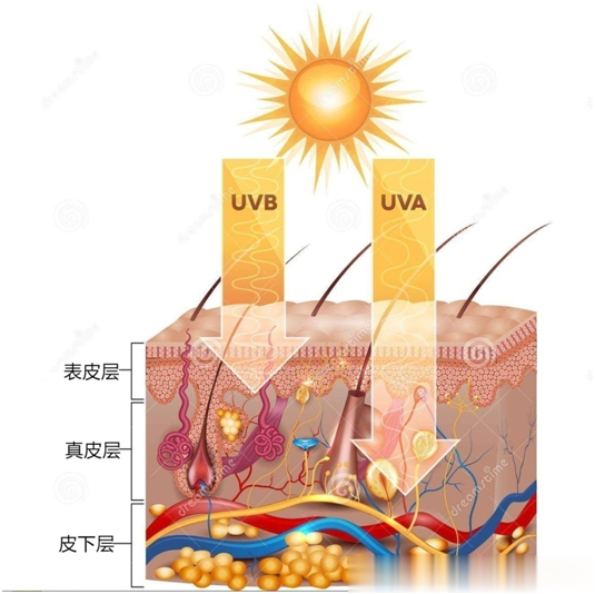 电子商务 要想皮肤好，防晒是关键！其中诀窍你懂多少？