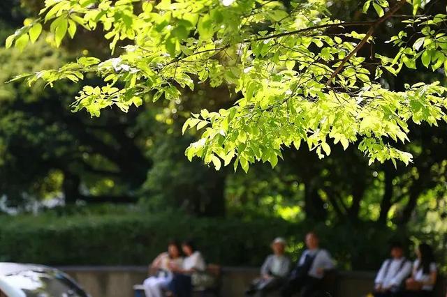 关注！三伏天晒背并不是所有人都适用！