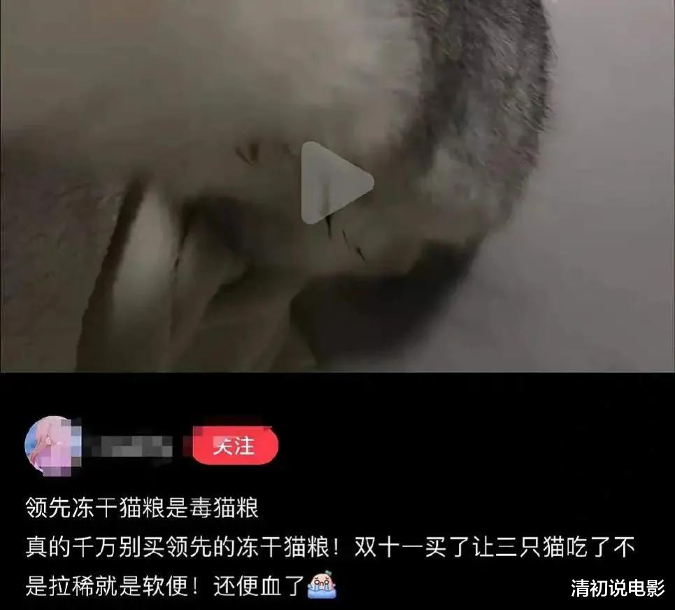 赵露思|被吐槽“脸大胳膊粗”的赵露思,真的有实力做“95花top”吗?