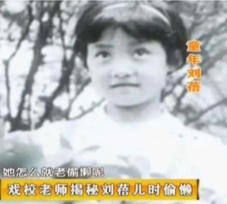 刘蓓|背靠帝都、资源雄厚,这六位京圈“女狠人”,手段一个比一个厉害