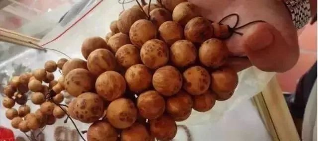 从价值上万到如今的柴火价，崖柏是怎么崩盘的？