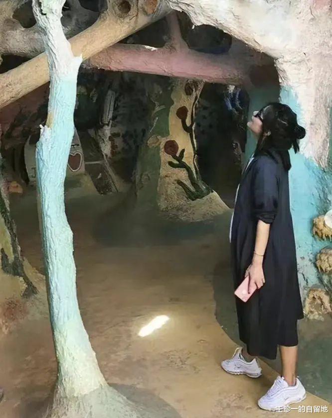 徐静蕾|曝49岁徐静蕾在美国秘密生女，孩子生父疑为黄立行，徐静蕾回应了