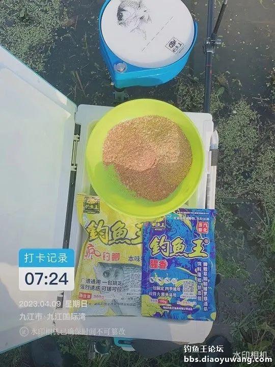 鲫鱼|白刺钓草边,大鲫很疯狂