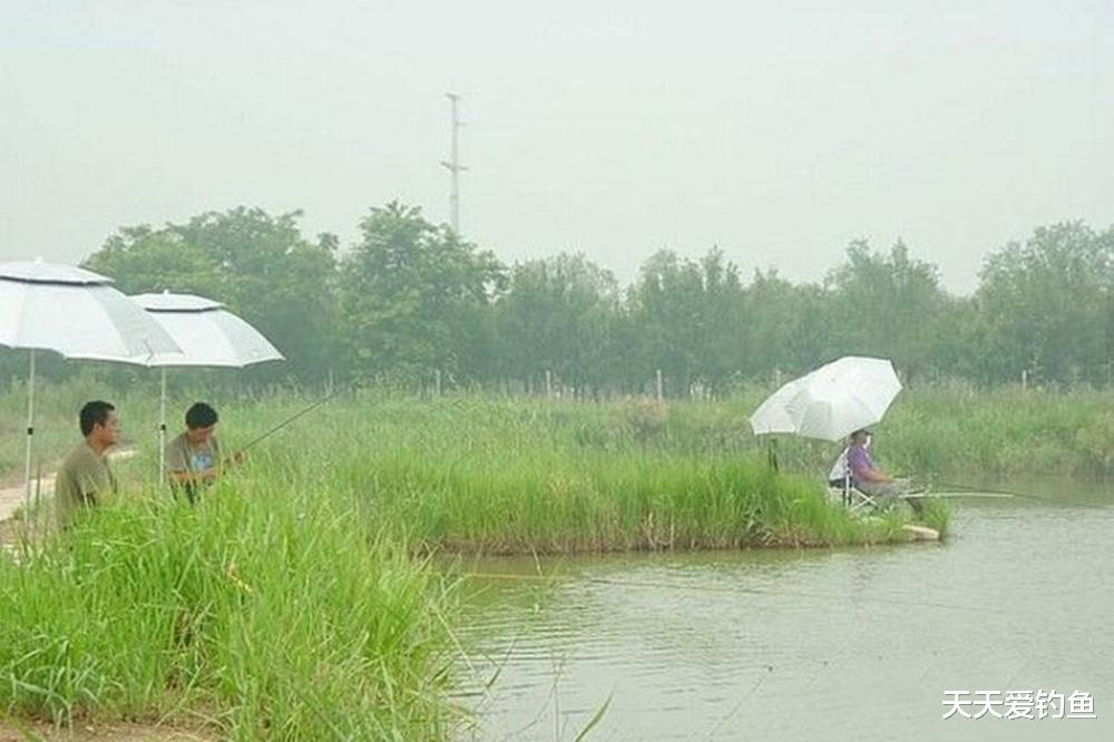 |夏天夜钓，大鱼靠边的5种钓位，钓获大鱼更容易