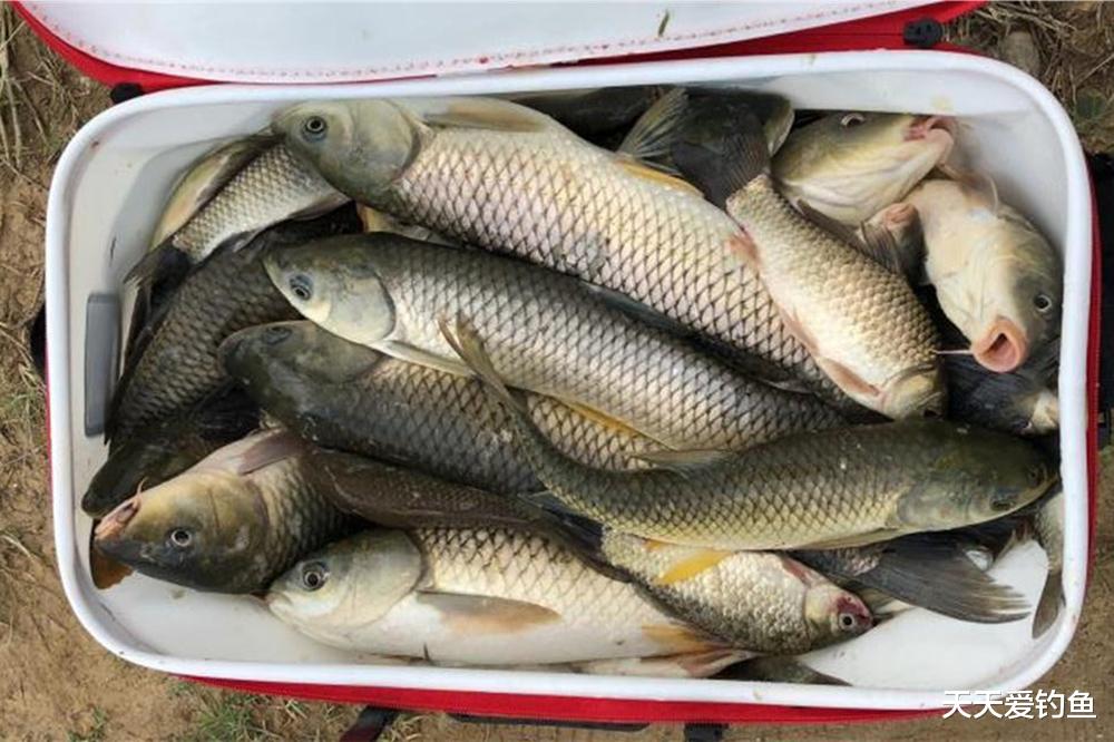 钓鱼|夏季钓鱼时机表,爆护天气有4种,空军天气多达6种
