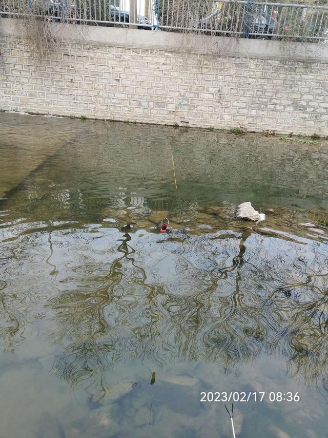 饵料|【钓鱼之家虾粉】放开70天第一钓，虾粉助我过足了瘾！