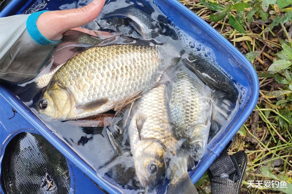 |记住2个调漂公式,调漂不必纠结方法,快速又精准