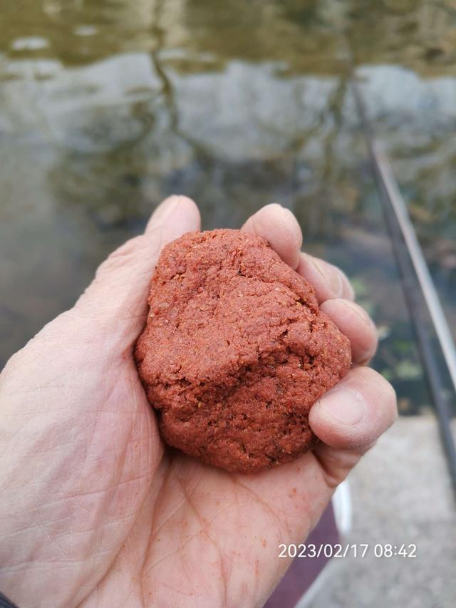 饵料|【钓鱼之家虾粉】放开70天第一钓，虾粉助我过足了瘾！