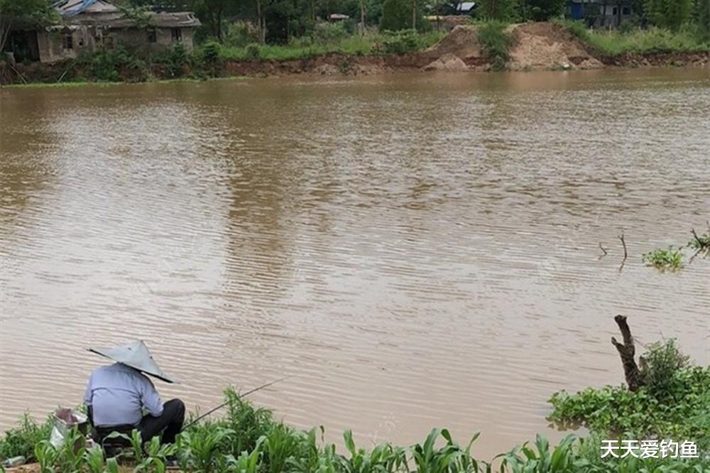 |夏季野钓,2类钓位人比鱼多,遇上了赶紧抢