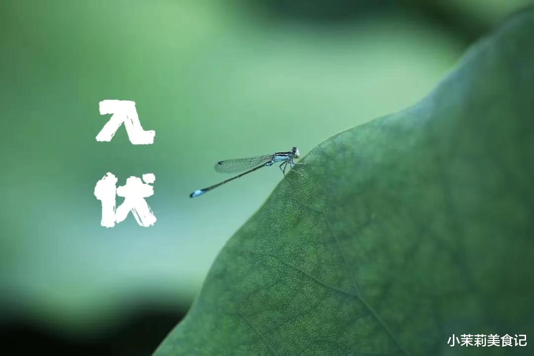 美食教程|明日入伏，提醒家人：三样不上桌，福气不进门，是指啥？传统别丢