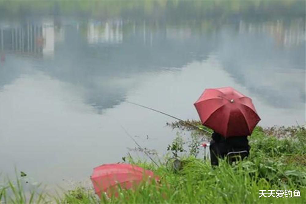夏季钓鱼，记住6大“禁忌”，谁踩谁“空军”