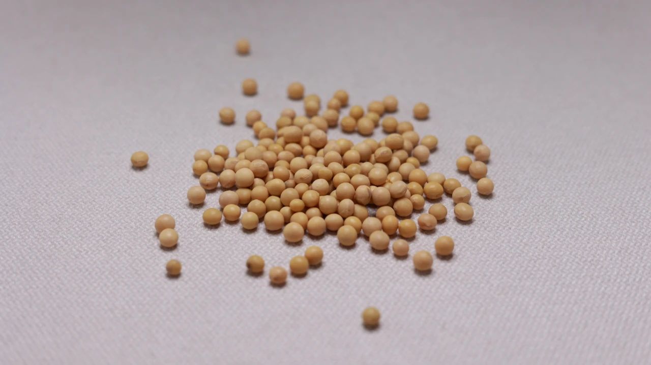 药监局|如何补钙更高效?并非要吃昂贵保健品,多吃4种常见食物或更健康