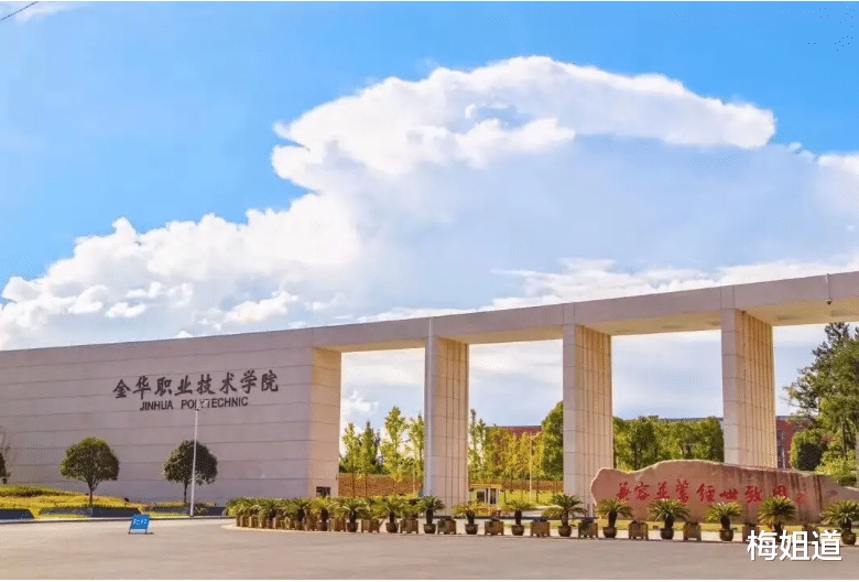 专升本|升本还是就业？深职院学生的困境，敢叫板211却不知今后出路