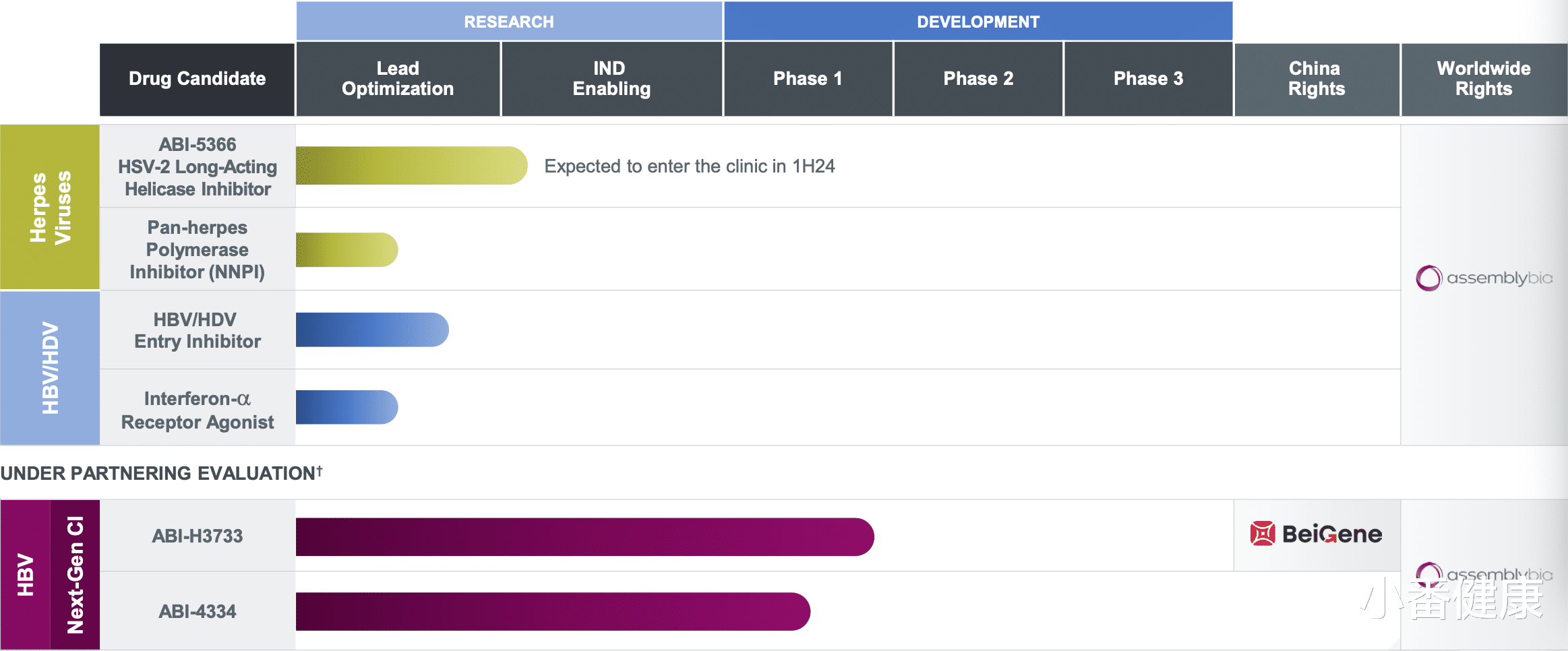 盗汗|乙肝Assembly制药更新，多份已被EASL接受，优化抑制cccDNA形成