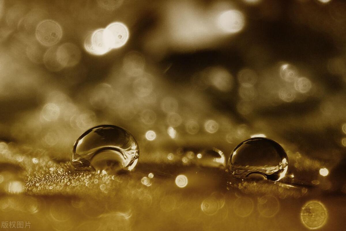 十年湿气一直祛除不掉,中医一个小方法,湿气没了,肾也不虚了!