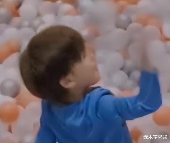 张柏芝为小儿子庆生,5岁张礼承首曝正面照,颜值超高不输俩哥哥