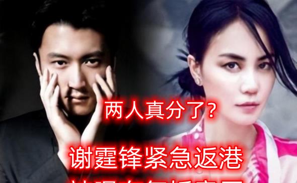 谢霆锋|谢霆锋分手风波后晒帅照!戴黑框眼镜难掩憔悴,被曝疑复婚意愿