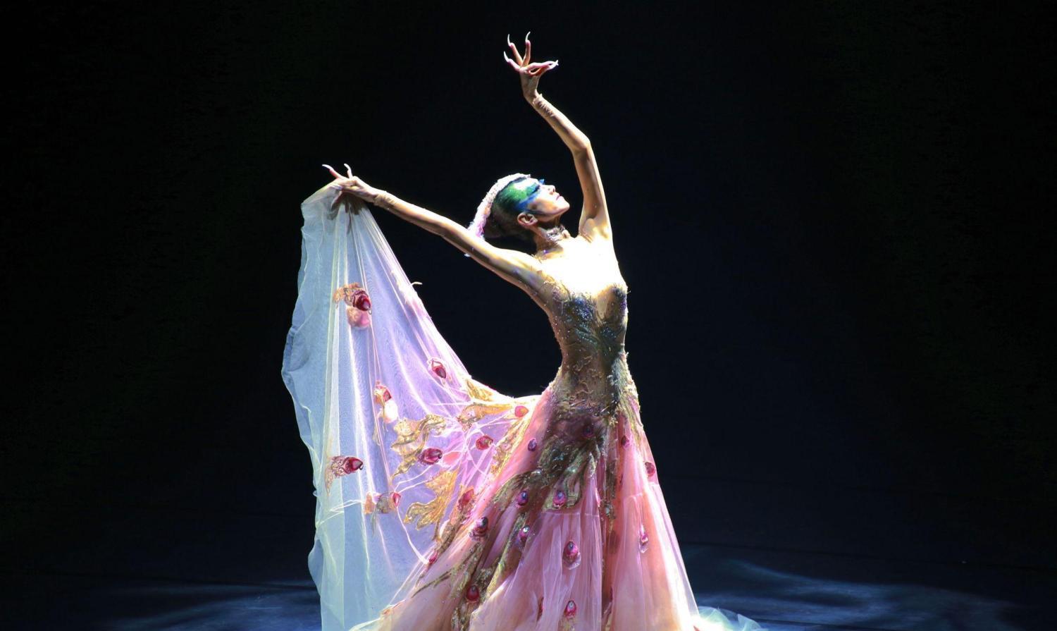 |杨丽萍新孔雀舞被吐槽:没有毛的孔雀连鸡都不如,简直辣眼睛!