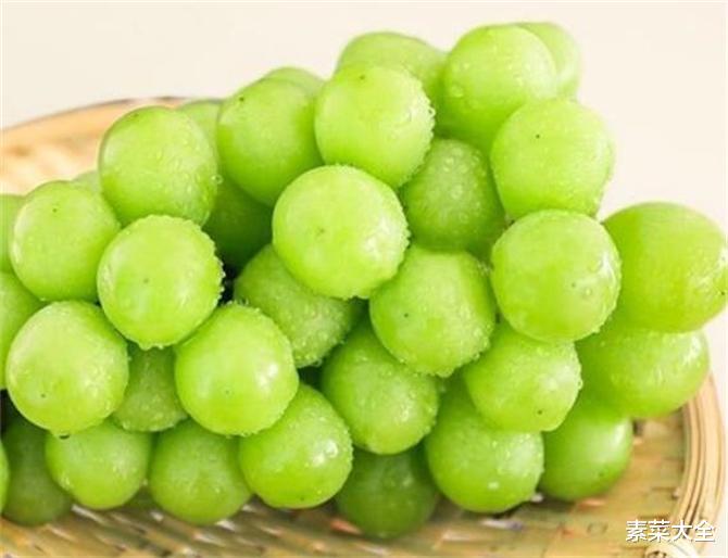 阳光玫瑰是葡萄还是提子?阳光玫瑰葡萄营养价值高吗?