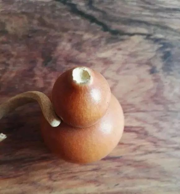 葫芦|盘了一年的葫芦,龙头掰了怎么办?