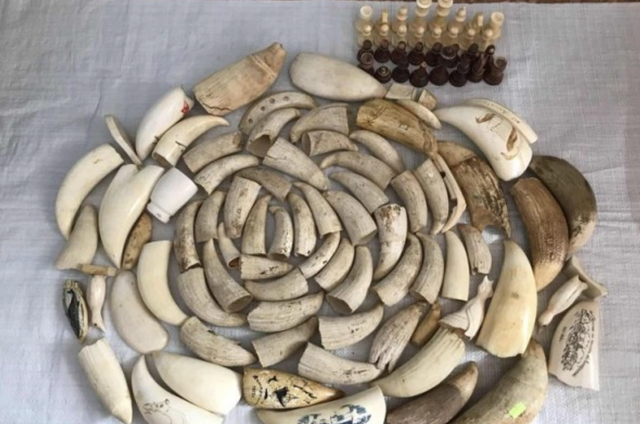 这9种“重口味文玩”，一般人碰都不敢碰，却有人喜欢到不行