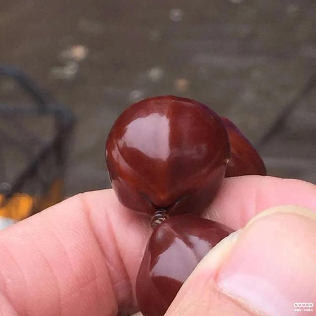 橄榄核|一条素铁核,4年被他盘的透透的!多少人看一眼,就再也忘不了