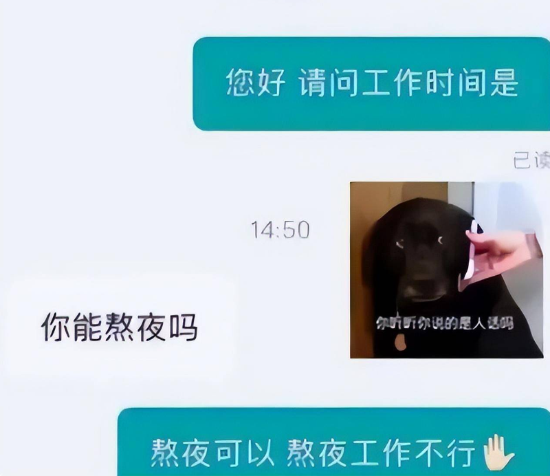 求职|年轻人找工作不要看钱？经济学家直接回怼，一句“无知”很接地气