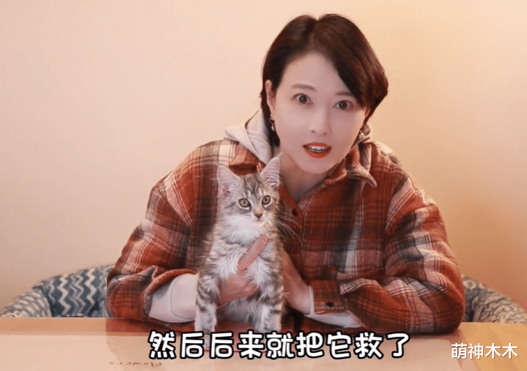 周海媚确认失联!一人独居豪宅和猫狗住,亲人不在身边全都没回复