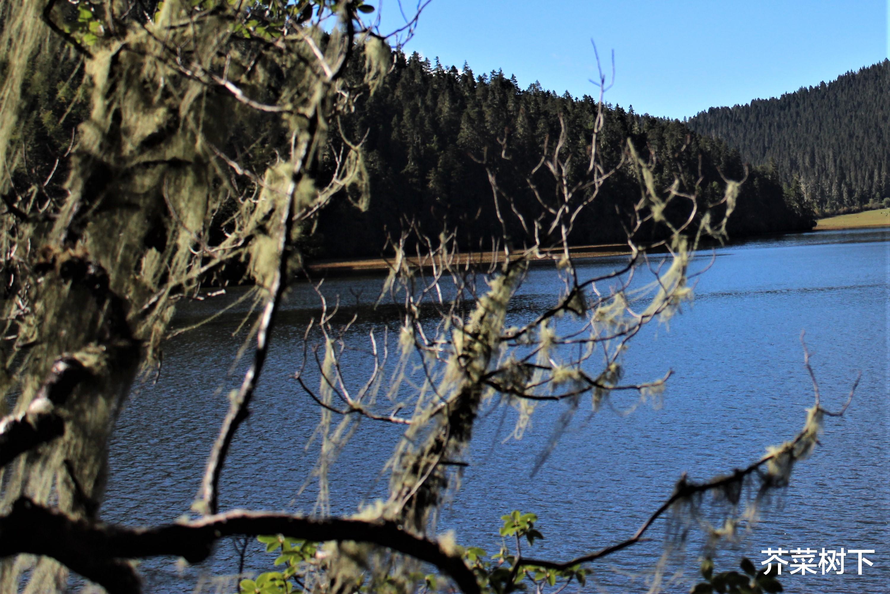 宁波|职场太多不确定？与之共舞