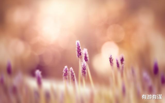 中国电影|不要去讨好每一个人,你是值得被爱的......