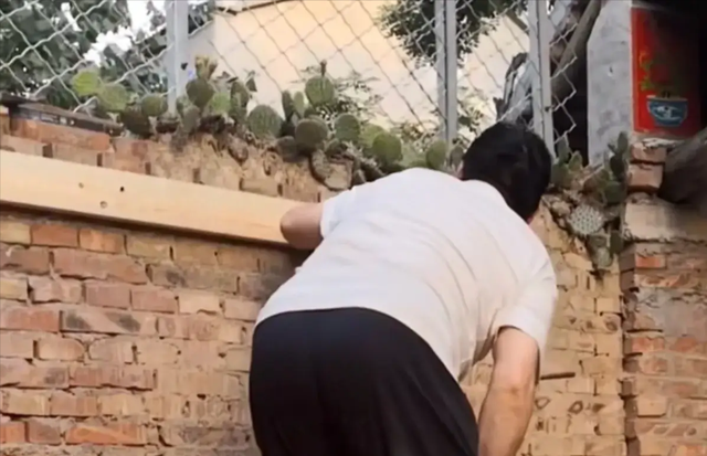 大衣哥是狠人！大门上安滚钉板，围墙上种仙人掌，粉丝们要小心