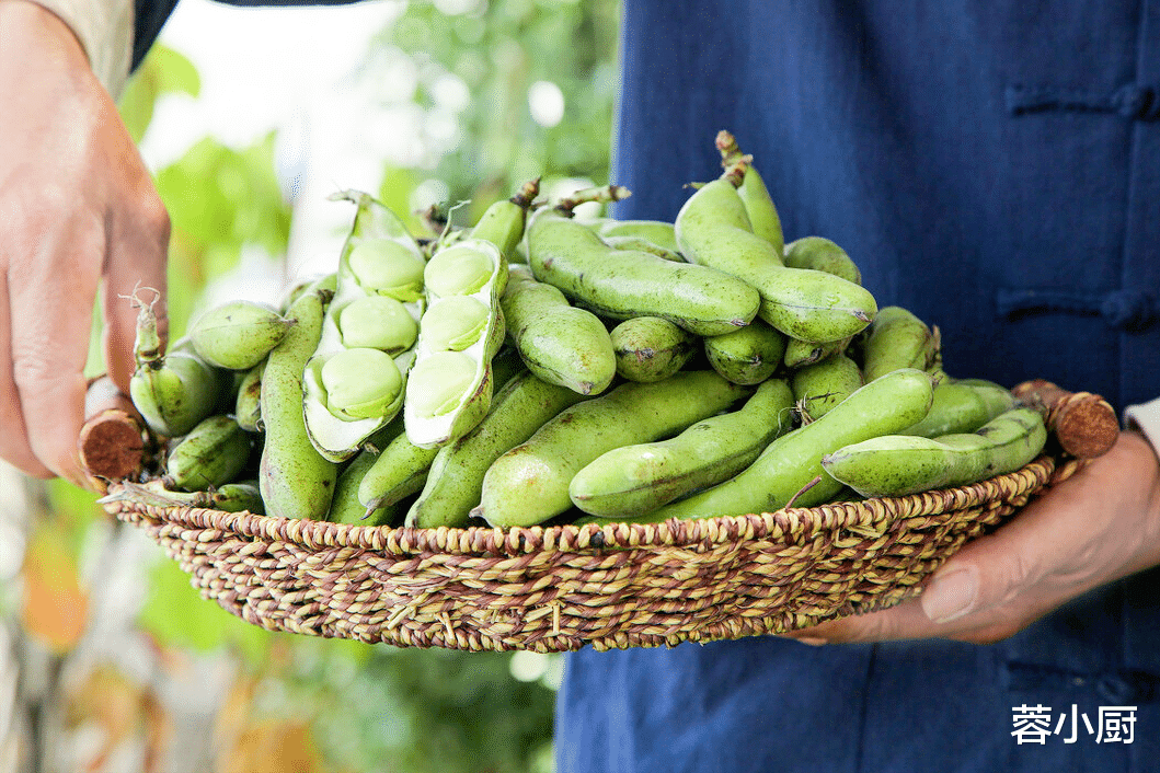 蚕豆|4月绝佳的\补脑菜\，比核桃便宜，比牛奶补钙，老人孩子要多吃