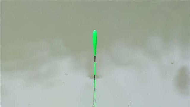 钓鲤鱼时漂动作微小，提竿均不中鱼？看看老钓手是怎么解决的