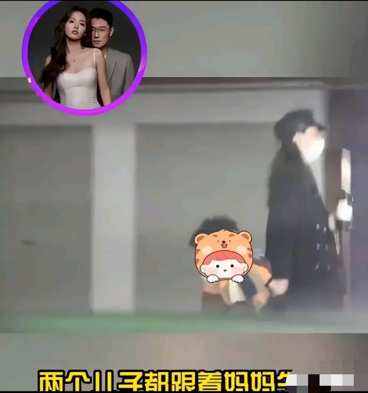 张嘉倪|母爱伟大，张嘉倪抚养两子引发社会关注