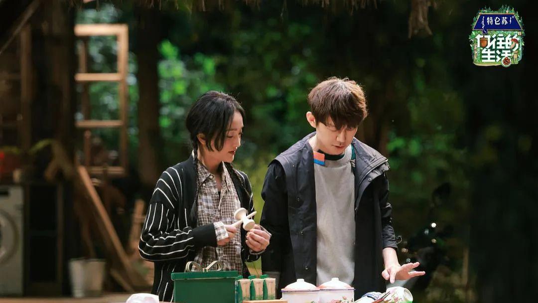 慢综艺|慢综艺走到十字路口