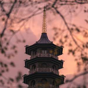 含含不要乖