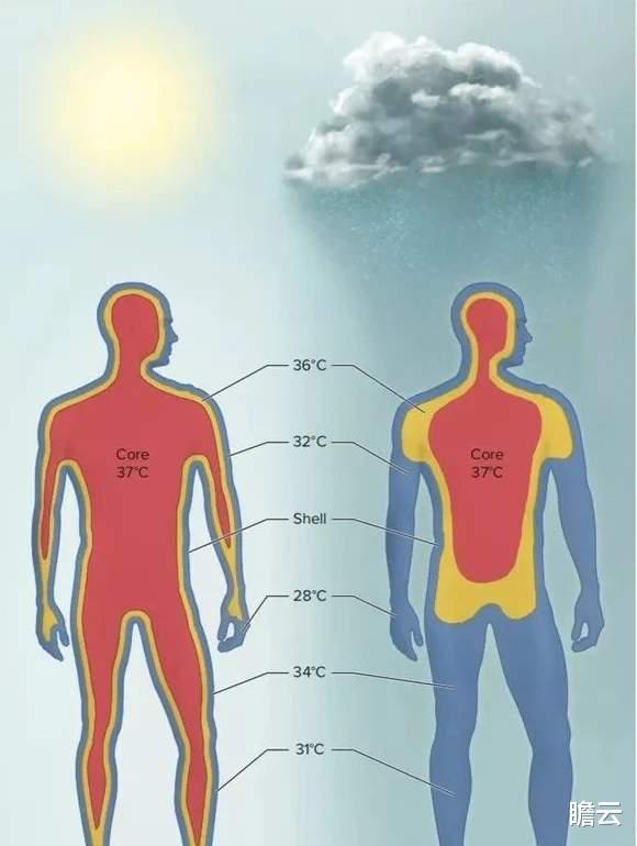 中暑|既然人的体温为 37℃，为什么在 35℃ 的气温下，会觉得很热？