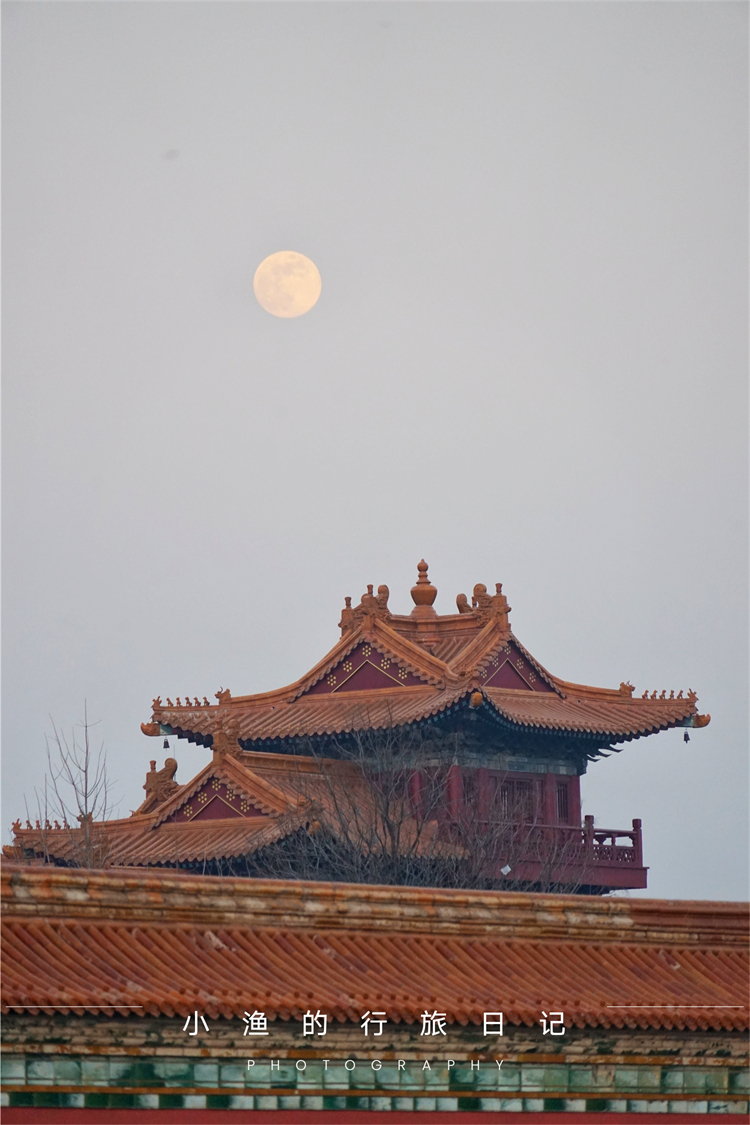 落羽杉|号称陕西“小故宫”，来过56个皇帝，恢弘又大气！游客却不多