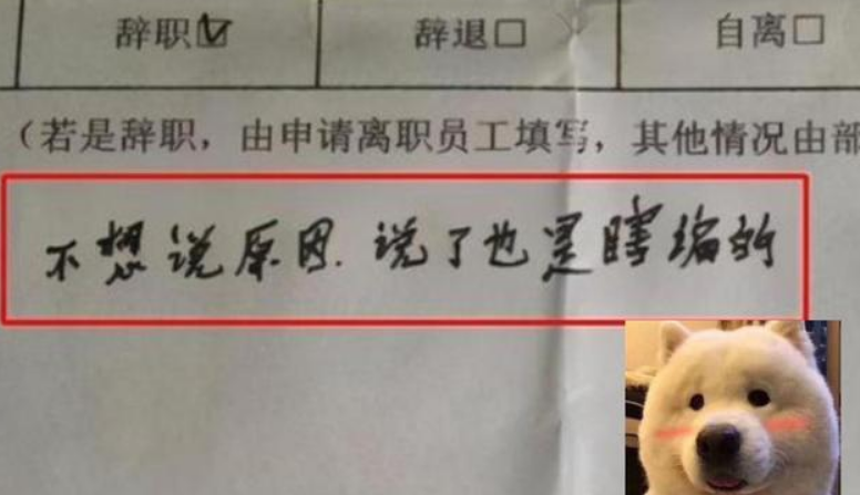 tabe|00后“低情商”辞职信一点体面不留！过来人看完却直呼过瘾！