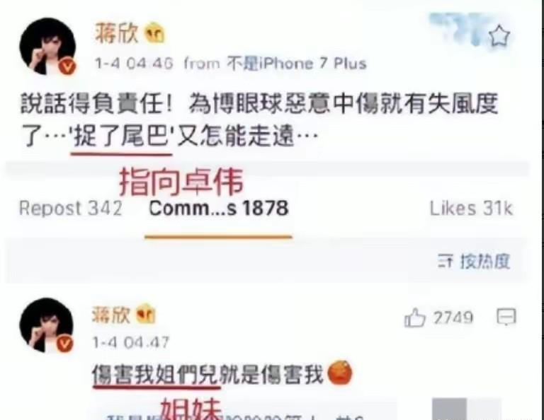 刘涛：“咏鹅”事件让人震惊，被曝多次出轨，国民女神也要翻车？