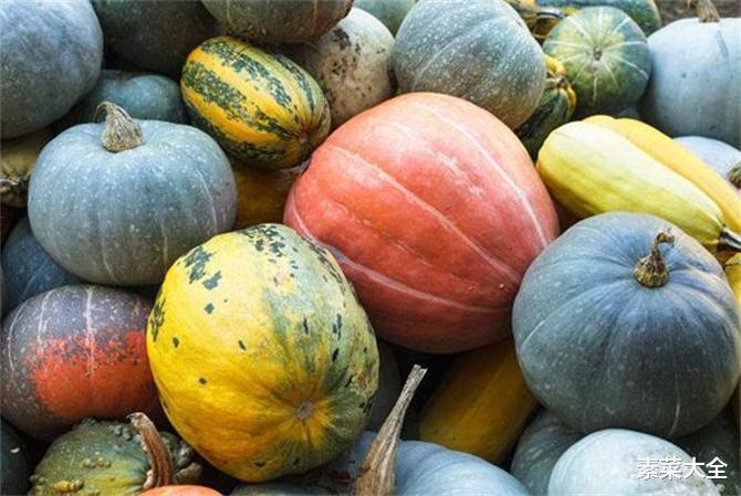 南瓜是蔬菜还是碳水?南瓜属于碳水还是膳食纤维?