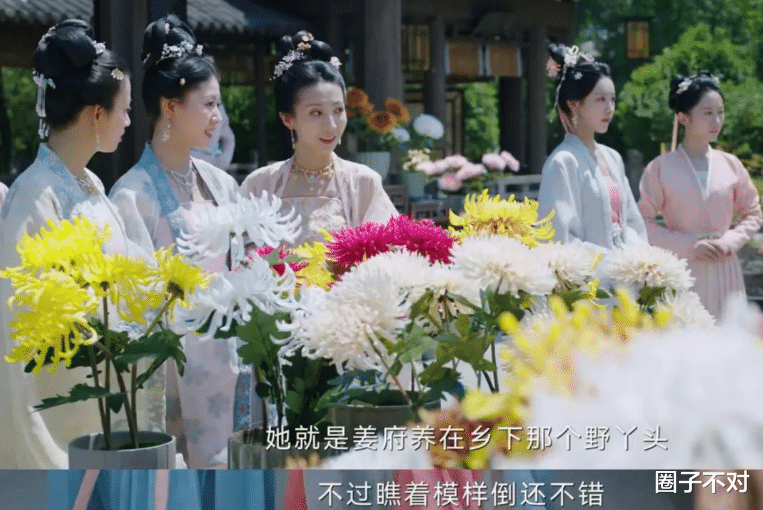 这一次,29岁的白鹿,不再被观众宽容