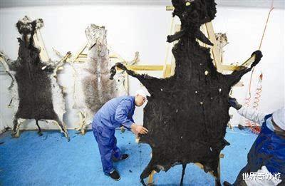 |老字号怎么了:北京烤鸭年亏2.6亿、狗不理变成人不理