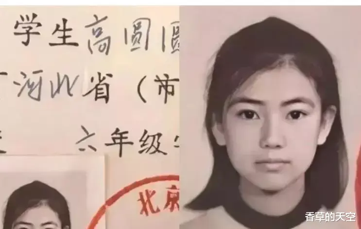 超能勇士|高圆圆赵又廷:结婚9年,命运已定