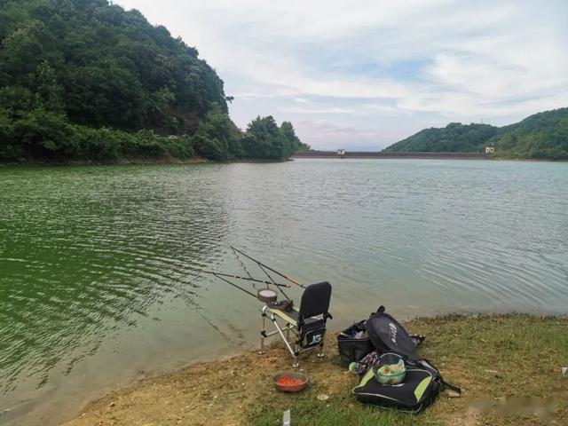 钓鱼技巧|5个钓鱼小技巧，能让你赢在起跑线，钓的比别人更多