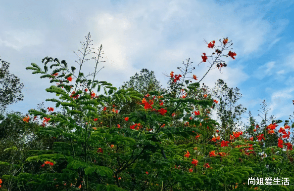 求职|老天在渡你,命里就会出现这几种提示,别傻傻的错过