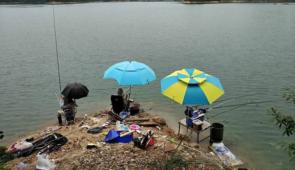 |都知道深浅水交界处鱼好钓，在夏季钓交界处的深水还是浅水？